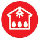 Птицефабрика